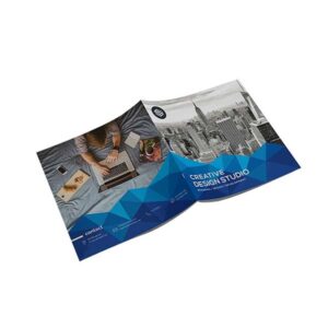 B4 Economy Size Brochures (Half-fold or Tri-fold)