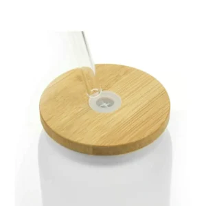 TUMBLO – Frosted Borosilicate Glass Tumbler with Straw & Bamboo Lid (455ml)